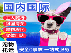 长春龙嘉航空快运国际宠物托运 【国